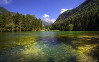 Картинка лес, горы, Планшарско озеро, Slovenia, рябь на воде, Planšarsko jezero, озеро, Словения