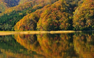 Картинка Japan, Фукусима, Япония, отражение, озеро Акимото, деревья, autumn, берег, lake Akimoto, Fukushima