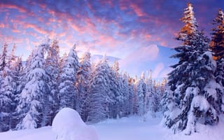Обои Зима, облака, небо, свет, деревья, горы, снег