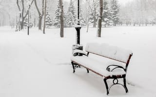 Картинка скамейка, зима, деревья, лавка, снег, фонари, парк, аллея, скамья, лавочка, природа