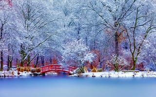 Картинка природа, пейзаж, деревья, снег, зима