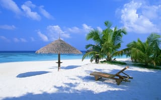 Картинка пальмы, пляж, багамы, океан, шезлонг, лето, песок, навес
