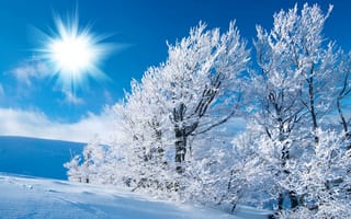 Картинка зима, деревья, свет, мороз, следы, снег, иней, солнце, поле, небо
