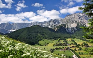 Картинка цветы, горы, Рамзау-ам-Дахштайн, деревня, панорама, Ramsau am Dachstein, Alps, Styria, Австрия, Штирия, Austria, Альпы, долина
