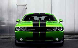 Картинка Dodge Challenger, Машина, Car, Green, Додж, Автомобиль, Зеленый цвет, Передок, SRT8, HD, Красиво, Automobile, Muscle, Челенджер