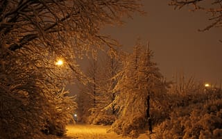 Картинка Исландия, Рейкьявик, парк, огни, свет, снег, деревья, зима, ночь