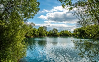 Картинка зелень, лето, небо, облака, деревья, озеро, солнце, ветки