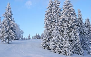Картинка зима, дом, снег, деревья, забор, следы, небо, дорога