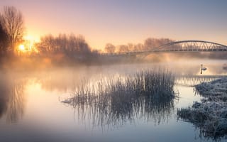 Картинка иней, трава, туман, река, лебедь, восход, утро, рассвет, деревья, мост