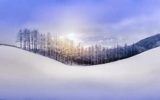 Картинка природа, зима, снег, холм, лес, небо