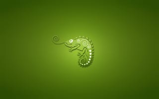 Картинка chameleon, зеленый фон, хамелеон, минимализм