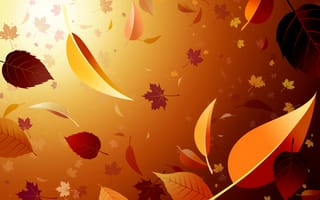 Картинка листья, осень, клен, листопад, свет