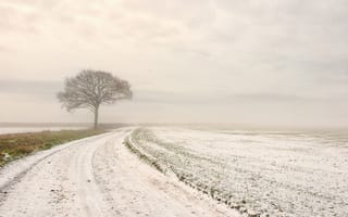 Обои зима, дорога, поле, снег, дерево