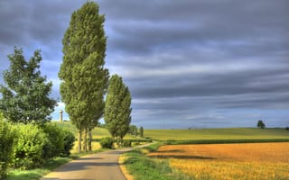 Картинка дорога, поле, Lorraine, Trieux, Франция, France, деревья, Триё, Лотарингия