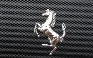Картинка эмблема, металл, 2014, решетка, лошадь