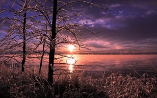 Картинка озеро, лед, деревья, зима, трава