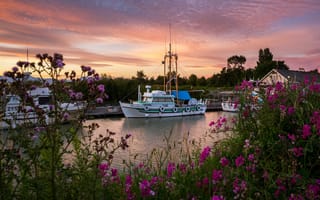 Картинка небо, цветы, sunsets, катер, Canada, rivers, Канада, река