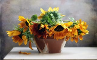 Картинка life, sunflowers, still, nature, flowers, flower, bouquet