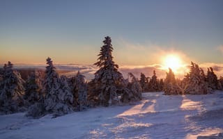 Картинка Brocken, Schnee, Eis, Wolken, Berg, Morgen, Sonnenaufgang, Nebel