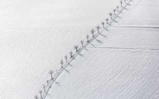 Картинка поле, пейзаж, деревья, снег, минимализм