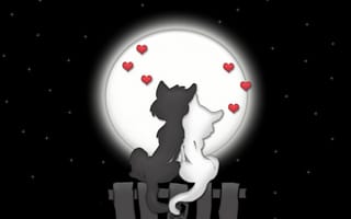 Картинка кошки, луна, ночь, любовь