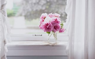 Картинка окна, розовый, розовые цветы, натюрморт, цветы