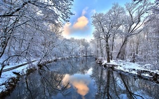 Обои лес, зима, снег, река, отражение