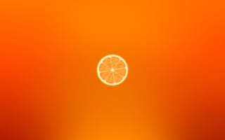 Обои Orange, Фрукт, Апельсин