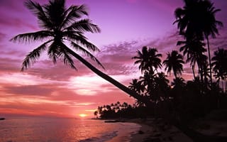 Картинка пейзаж, закат, остров, море, волны, небо, силуэты, пальмы, пляж