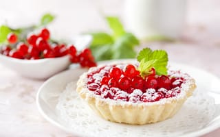 Картинка ягоды, пирожное, выпечка, тарталетки, сахарная пудра, красная смородина