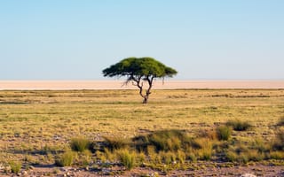 Картинка песок, Etosha National Park, Африка, пустыня, ultra hd, Namibia, трава, саванна, дерево, multi monitors, засуха, оазис