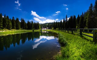 Картинка лес, озеро, Словения, забор, отражение
