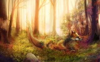 Картинка лиса, рыжая, деревья, камни, трава, лес