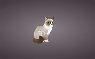 Картинка Сердитый Котик, кошка, Grumpy Cat, Соус Тардар, минимализм, кот, Tardar Sauce