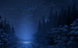 Картинка лес, небо, дорога, снег, звезды, лиса, зима, деревья, горы, ночь