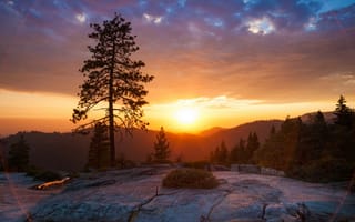 Картинка парк, рассвет, природа, США, закат, Sequoia, Калифорния