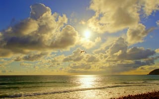 Картинка побережье, солнце, море, Калифорния, облака, Malibu, природа