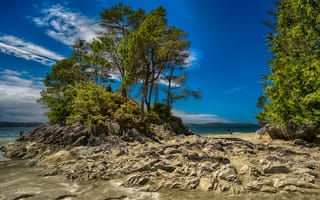 Картинка песок, море, облака, камни, небо, деревья, лес, пляж