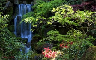 Обои США, водопад, Portland, Oregon, природа, сад