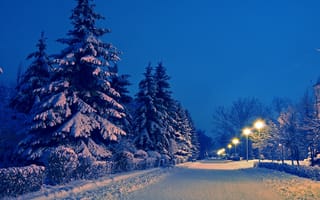 Картинка пейзаж, зима, парк, аллея, снег, дорога, ели, фонари, вечер