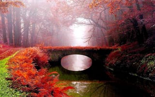 Картинка парк, туман, река, осень, мост
