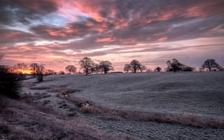 Картинка Bunbury, trees, silhouette, sunrise, cheshire, HDR, field, frost