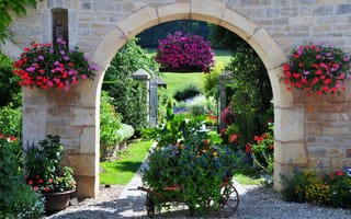 Картинка Франция, петунья, сад, цветы, герань, природа