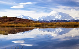 Картинка отражение, Аляска, гора Мак-Кинли, национальный парк Денали, озеро