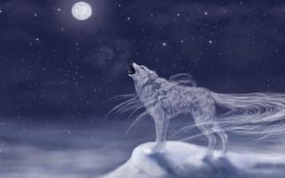 Обои арт, луна, ночь, животное, небо, волк, вхост, снег, холод, воет