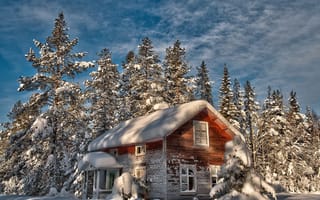 Картинка зима, деревья, дом, снег, елки, заброшенный, старый