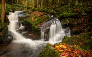 Картинка осень, лес, France, Франция, камни, каскад, Овернь, мох, Auvergne, водопад, речка, листья