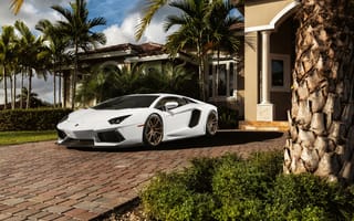 Картинка особняк, Aventador, white, ламборгини, ламборджини, пальмы, авентадор, перед, LP700-4, Lamborghini, белый, front