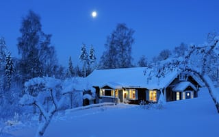 Картинка Winter, огни, ночь, деревья, лес, Dalarna, лом, снег, Sweden, night, Даларна, зима, свет, Швеция, луна