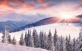 Картинка горы, рассвет, снег, солнце, зима, ёлки